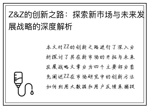 Z&Z的创新之路：探索新市场与未来发展战略的深度解析