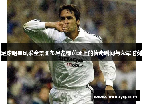 足球明星风采全景图鉴尽览绿茵场上的传奇瞬间与荣耀时刻