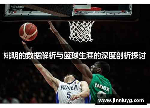 姚明的数据解析与篮球生涯的深度剖析探讨